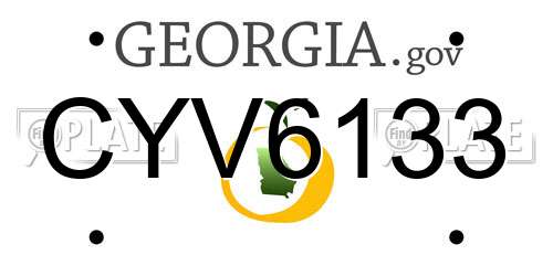 CYV6133 Georgia License Plate