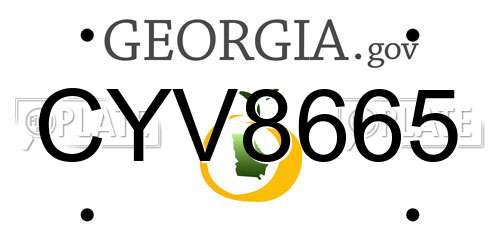 CYV8665 Georgia License Plate