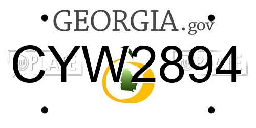 CYW2894 Georgia License Plate