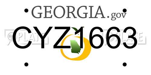 CYZ1663 Georgia License Plate