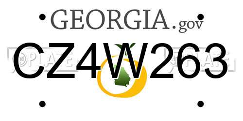 CZ4W263 Georgia License Plate