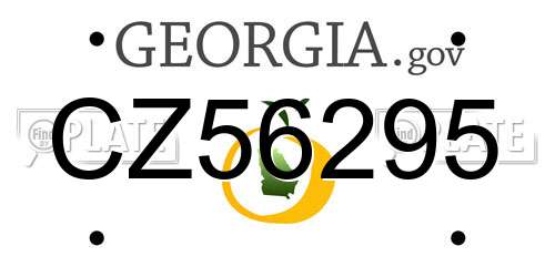 CZ56295 Georgia License Plate