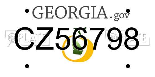 CZ56798 Georgia License Plate