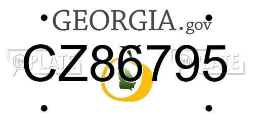 CZ86795 Georgia License Plate