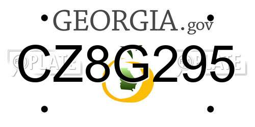 CZ8G295 Georgia License Plate
