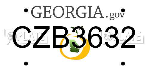 CZB3632 Georgia License Plate