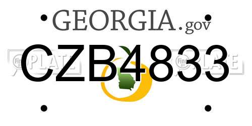 CZB4833 Georgia License Plate