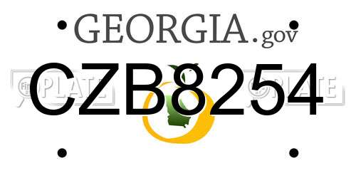 CZB8254 Georgia License Plate