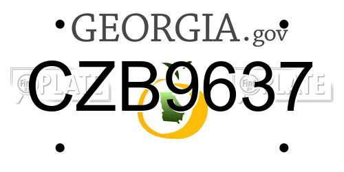 CZB9637 Georgia License Plate