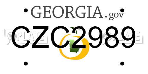 CZC2989 Georgia License Plate