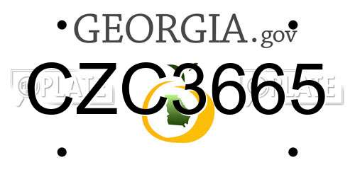CZC3665 Georgia License Plate