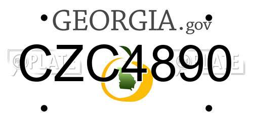 CZC4890 Georgia License Plate