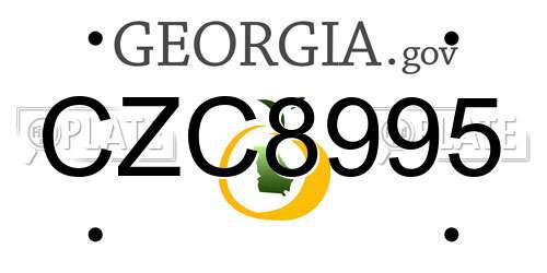 CZC8995 Georgia License Plate