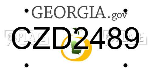 CZD2489 Georgia License Plate