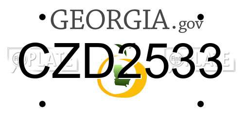 CZD2533 Georgia License Plate