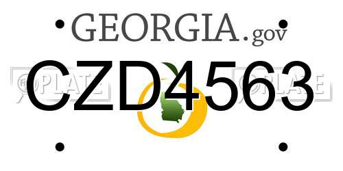CZD4563 Georgia License Plate