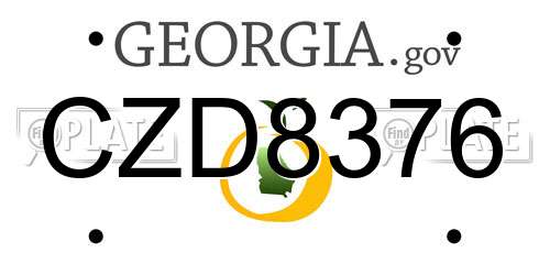 CZD8376 Georgia License Plate