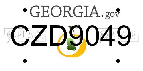 CZD9049 Georgia License Plate
