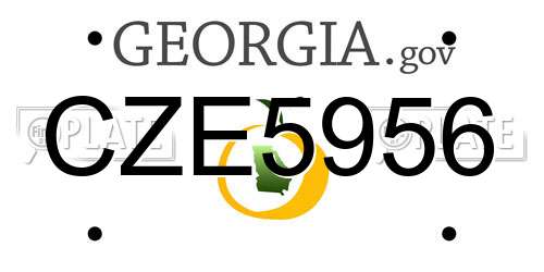 CZE5956 Georgia License Plate