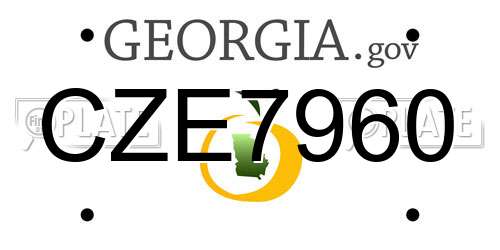 CZE7960 Georgia License Plate