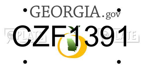 CZF1391 Georgia License Plate