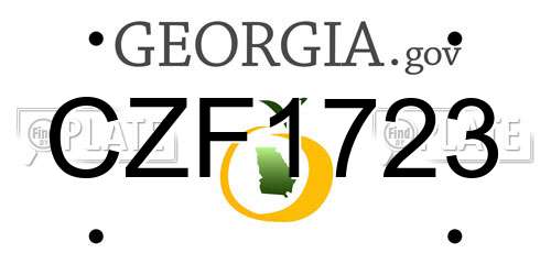 CZF1723 Georgia License Plate