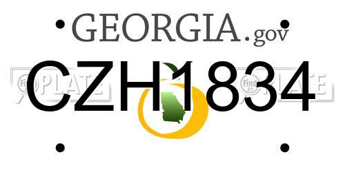 CZH1834 Georgia License Plate