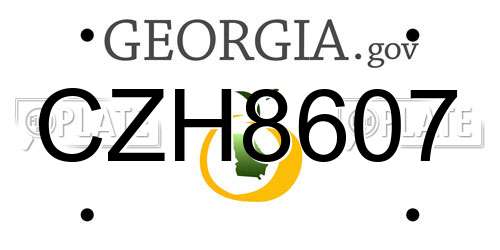 CZH8607 Georgia License Plate