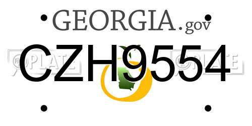 CZH9554 Georgia License Plate