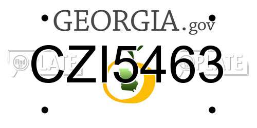 CZI5463 Georgia License Plate