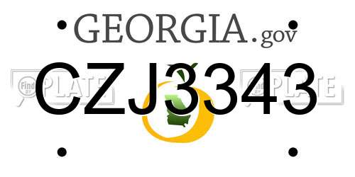 CZJ3343 Georgia License Plate