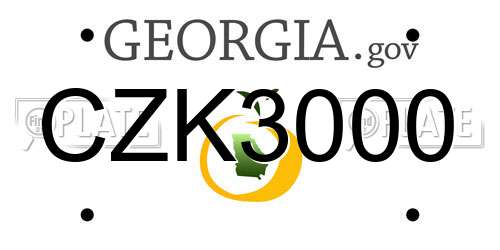 CZK3000 Georgia License Plate
