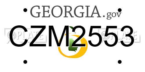CZM2553 Georgia License Plate