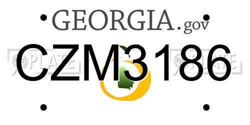 CZM3186 Georgia License Plate