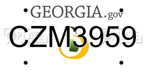 CZM3959 Georgia License Plate