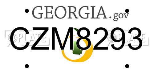 CZM8293 Georgia License Plate