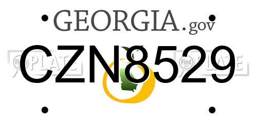 CZN8529 Georgia License Plate