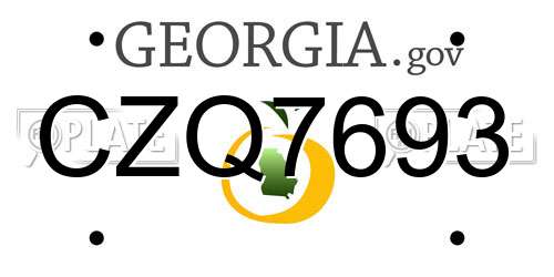 CZQ7693 Georgia License Plate