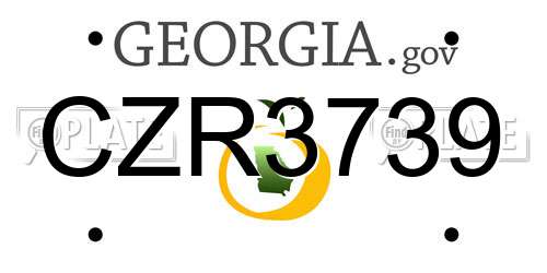 CZR3739 Georgia License Plate