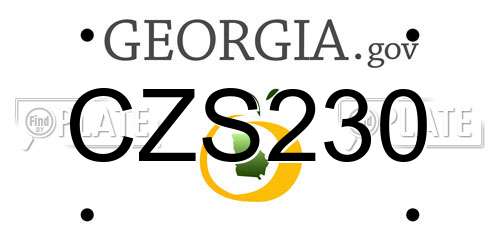 CZS230 Georgia License Plate