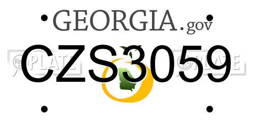 CZS3059 Georgia License Plate