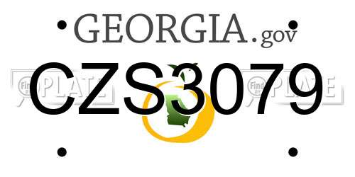 CZS3079 Georgia License Plate