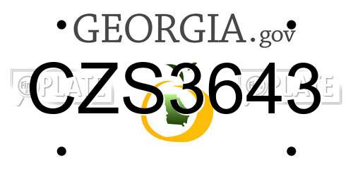 CZS3643 Georgia License Plate