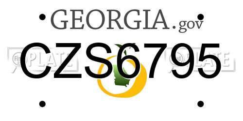 CZS6795 Georgia License Plate