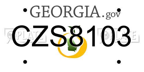 CZS8103 Georgia License Plate
