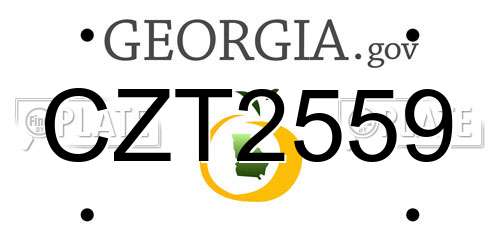 CZT2559 Georgia License Plate