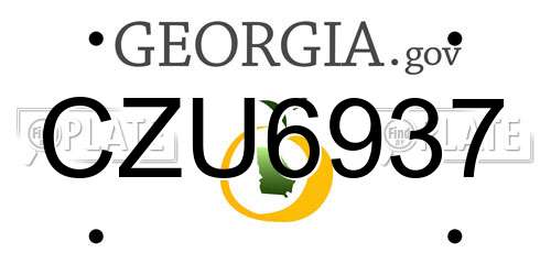 CZU6937 Georgia License Plate