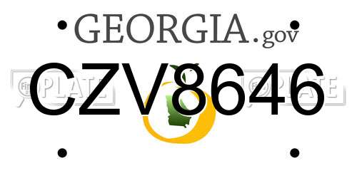 CZV8646 Georgia License Plate