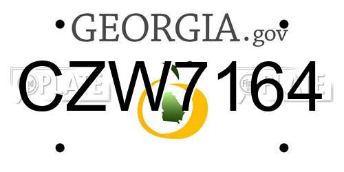 CZW7164 Georgia License Plate