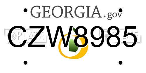 CZW8985 Georgia License Plate